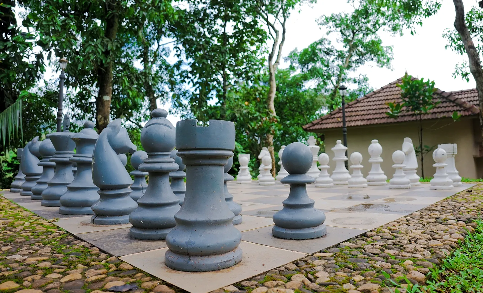  Wayanad