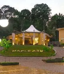 Maple Ash Resort 