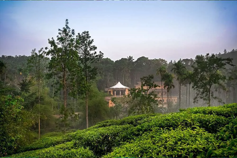 Maple Ash Resort Wayanad