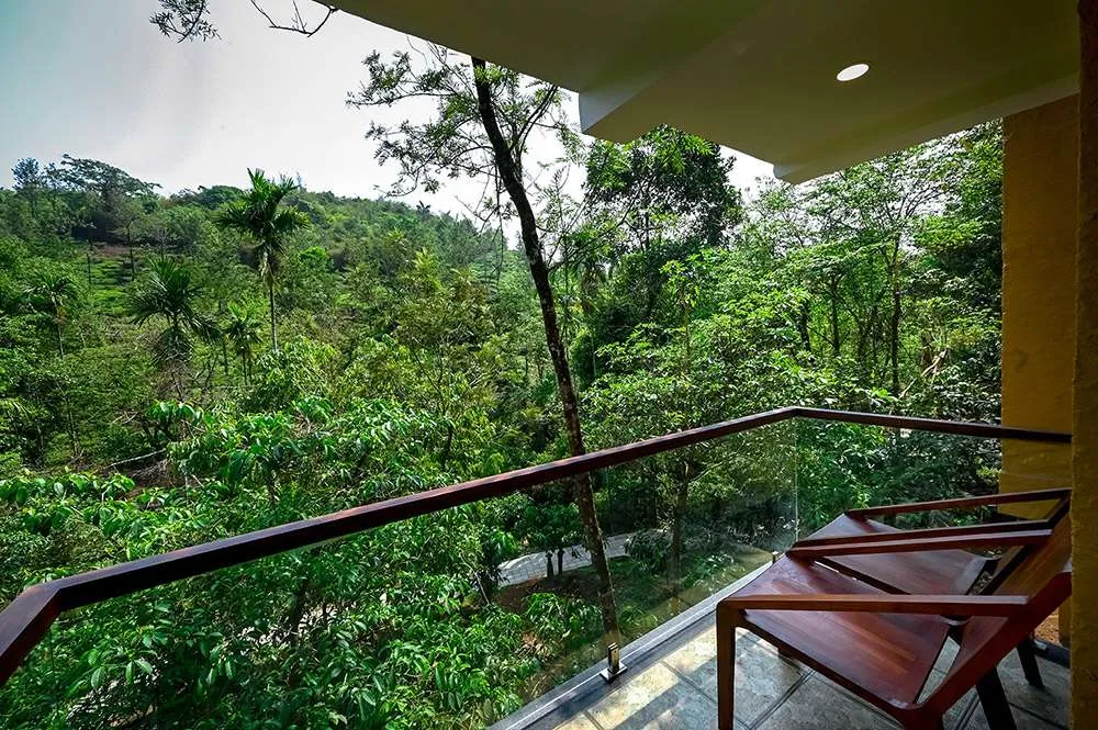 Maple Ash Resort 