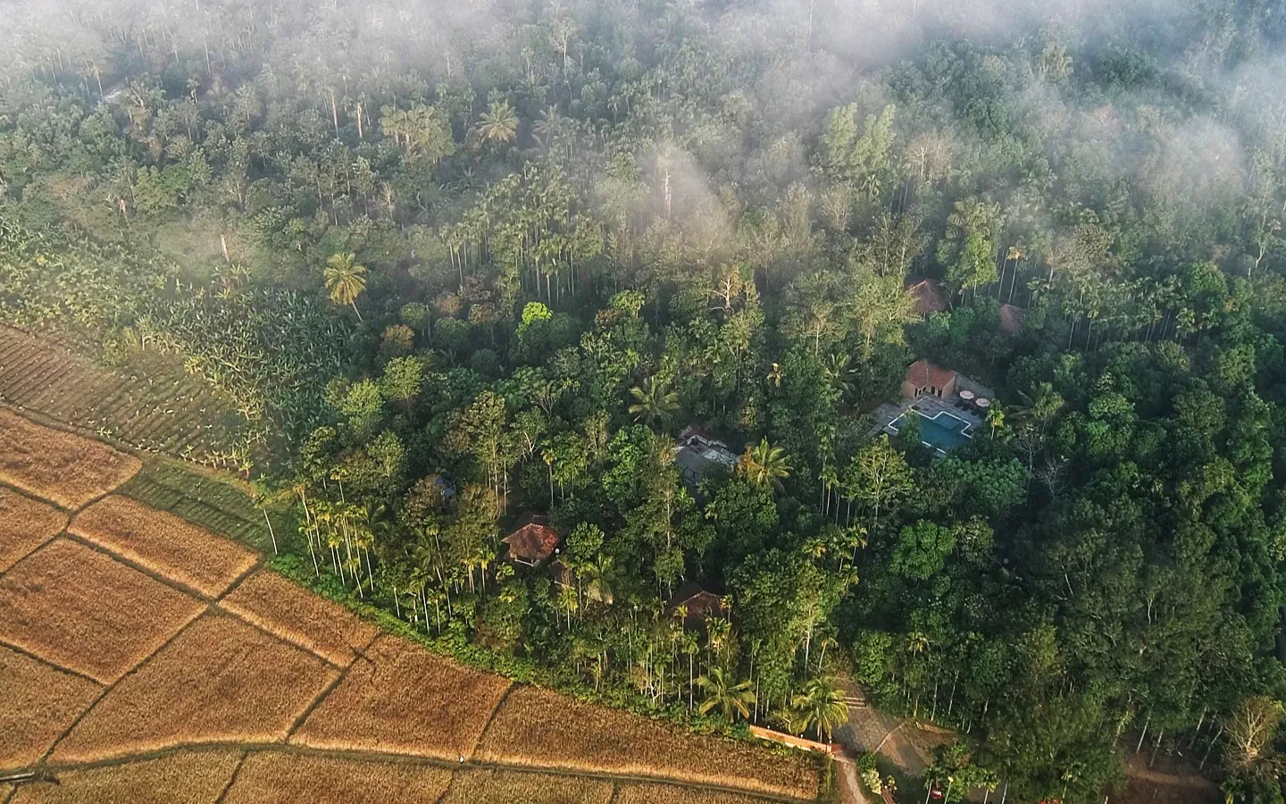 Raindrops Resorts Wayanad