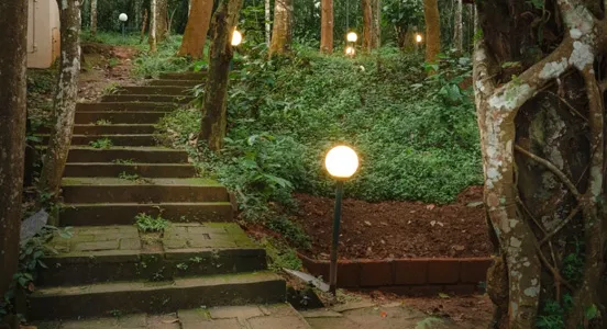 Raindrops Resorts Wayanad 