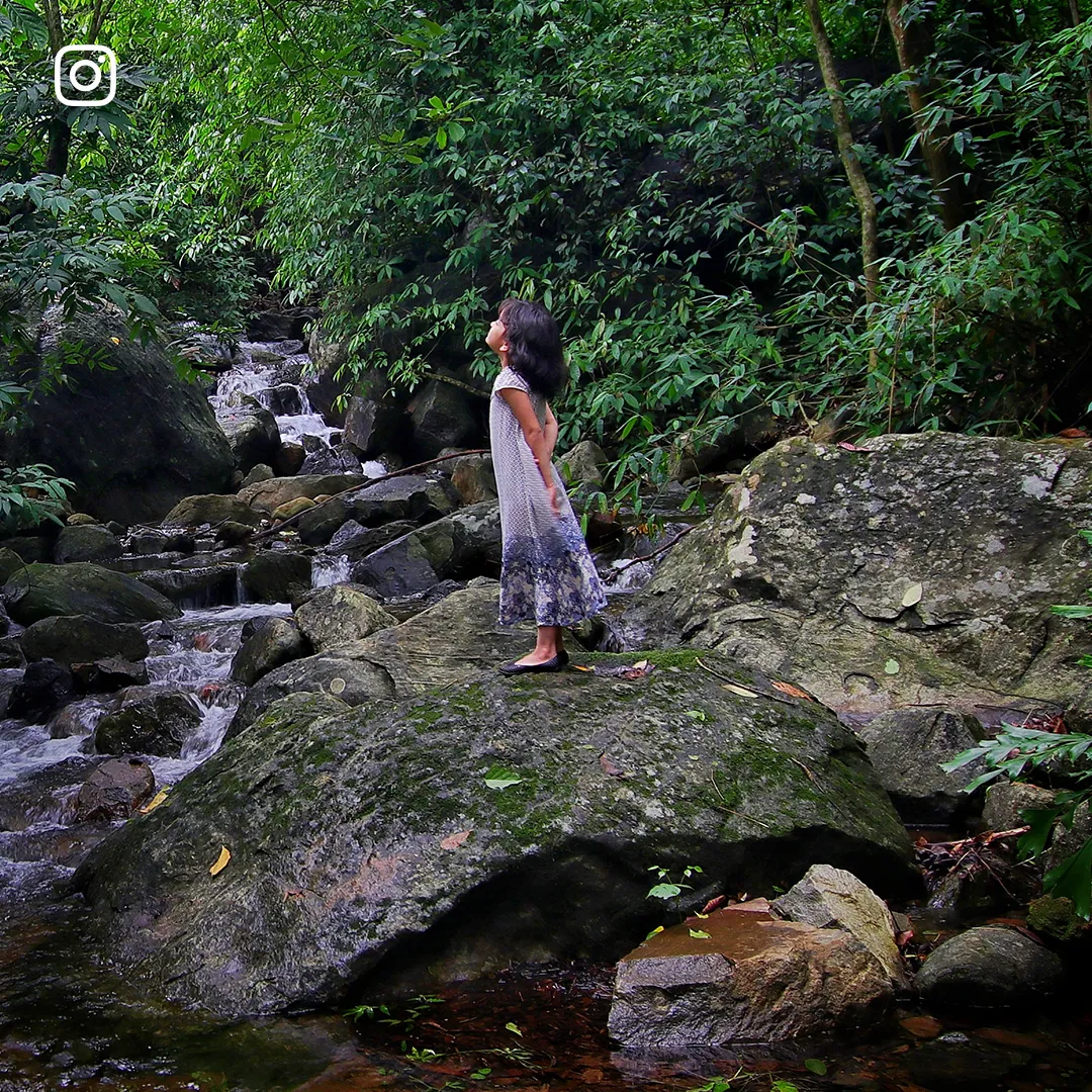 Silent Creek Resort And Spa Wayanad