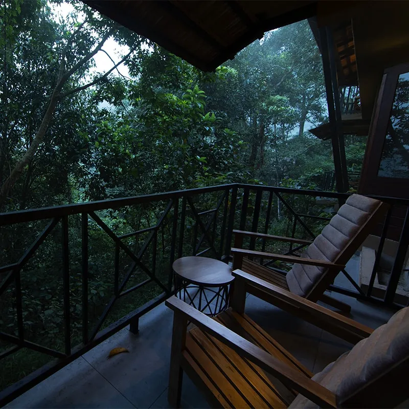  Wayanad
