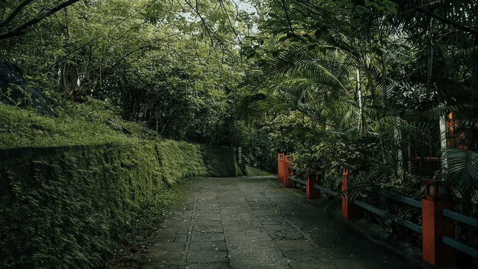 Wayanad Silverwoods Resorts Wayanad