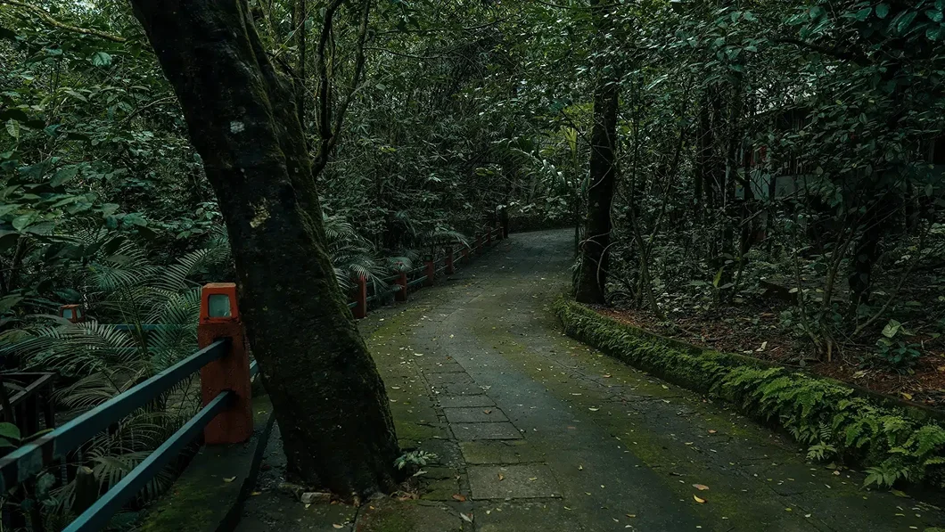  Wayanad
