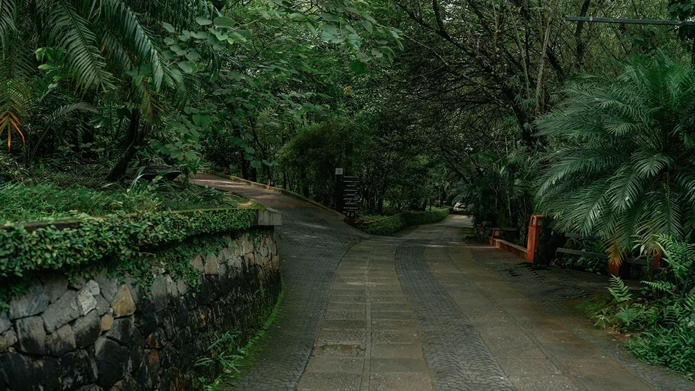  Wayanad