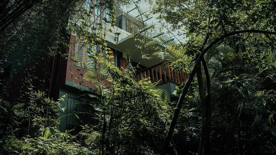 Wayanad Silverwoods Resorts