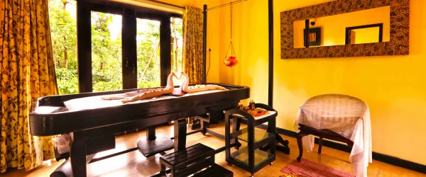 Windflower Resorts & Spa Vythiri Wayanad