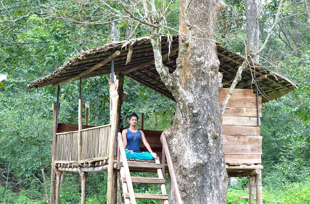 The Woods Resorts Wayanad 