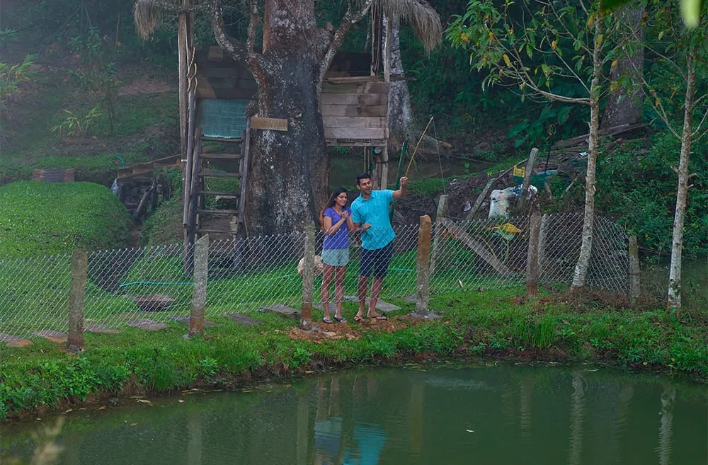 The Woods Resorts Wayanad 