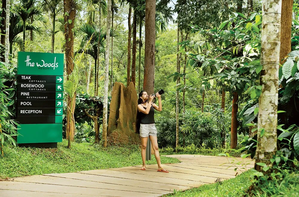 The Woods Resorts Wayanad 