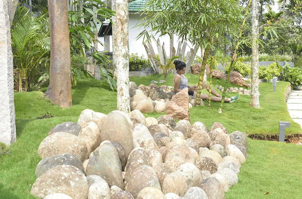 The Woods Resorts Wayanad Wayanad
