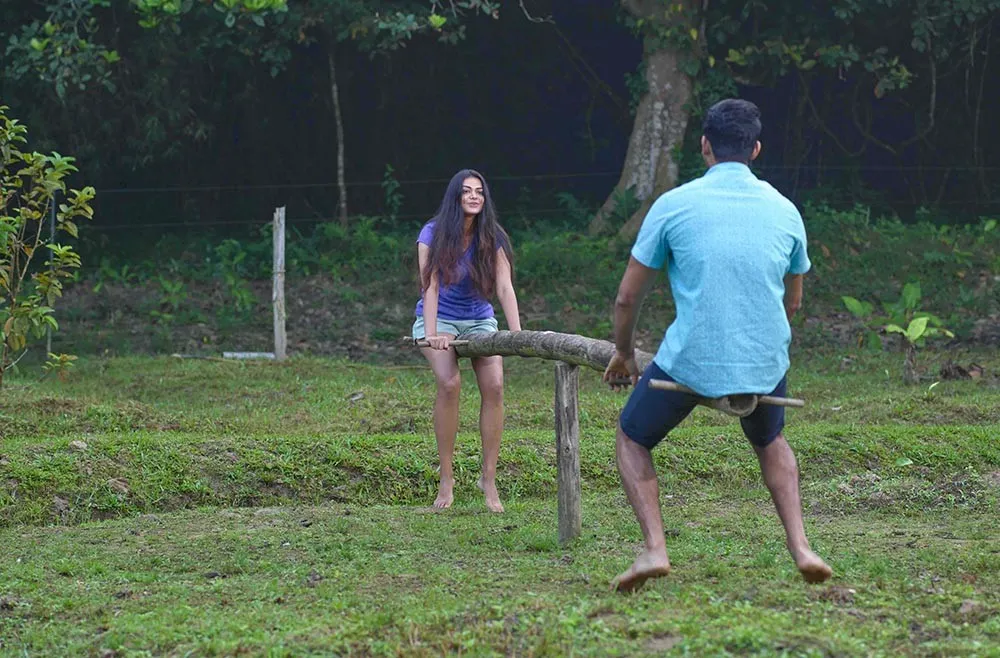 The Woods Resorts Wayanad India