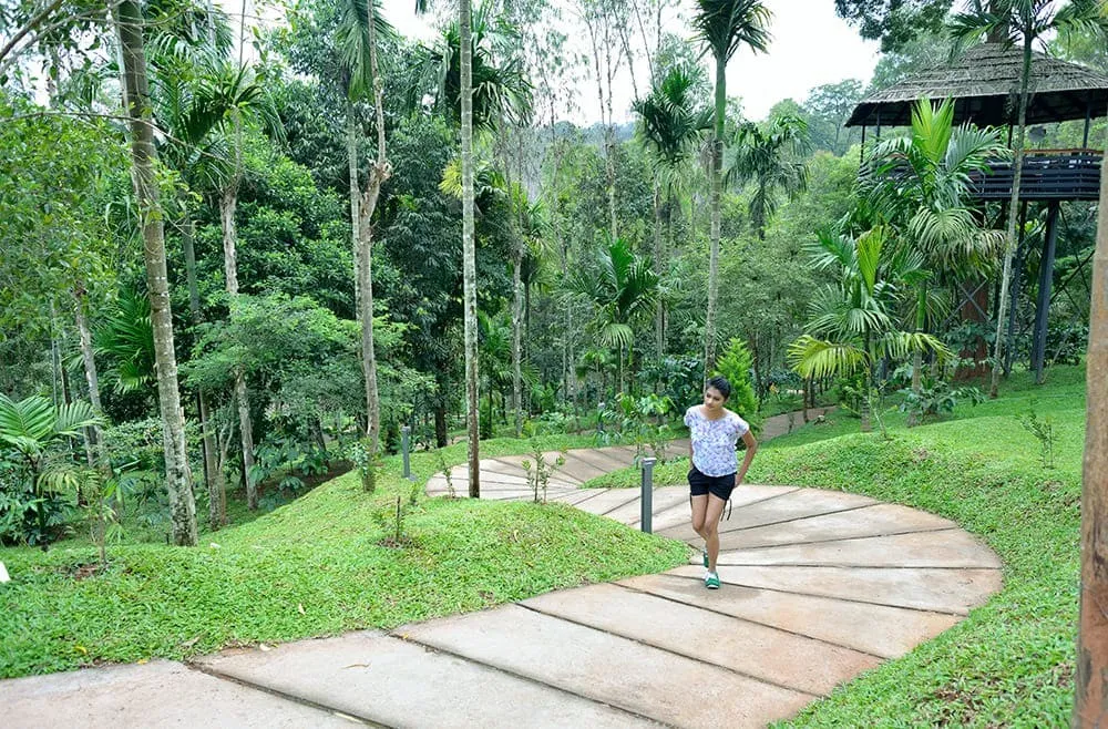 The Woods Resorts Wayanad 