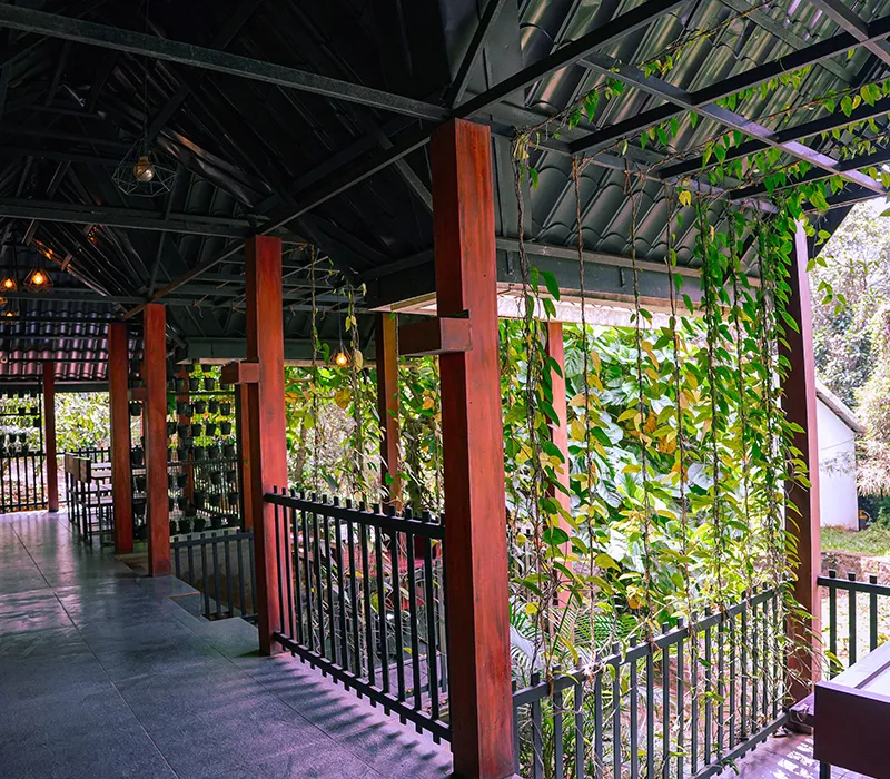 Vythiri Greens Holiday Resort 