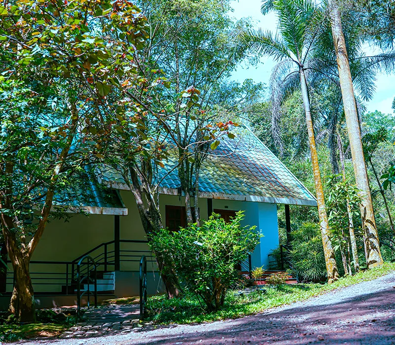 Vythiri Greens Holiday Resort India