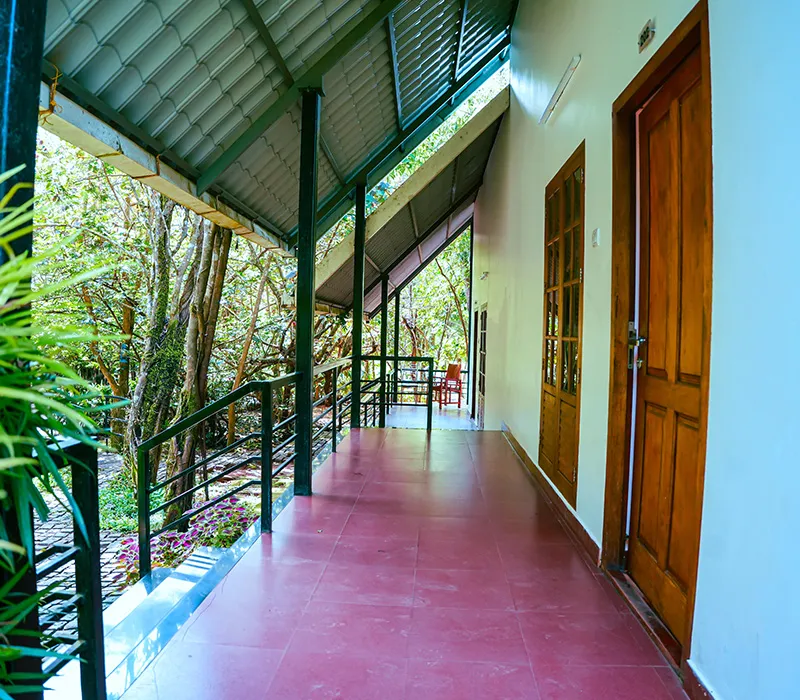  Wayanad