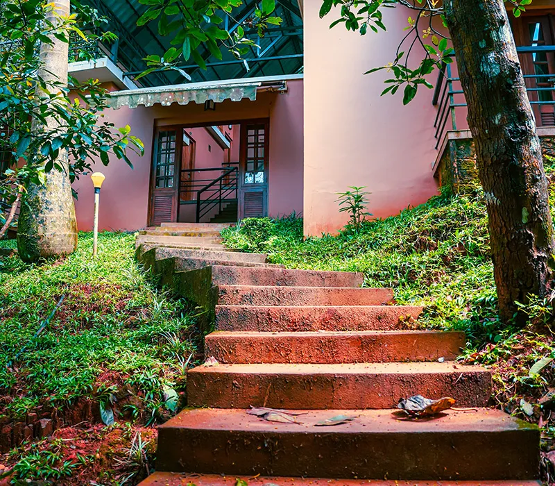  Wayanad