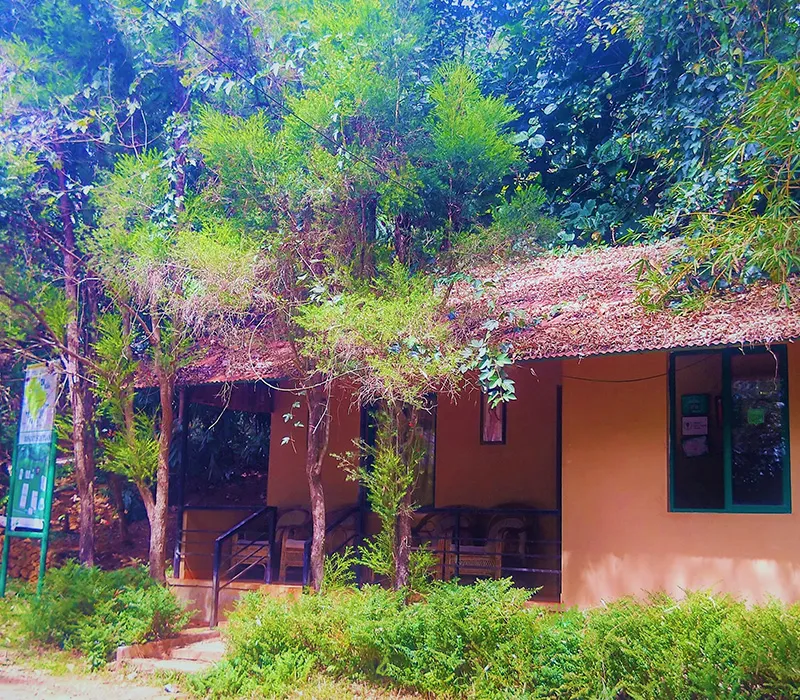 Vythiri Greens Holiday Resort India