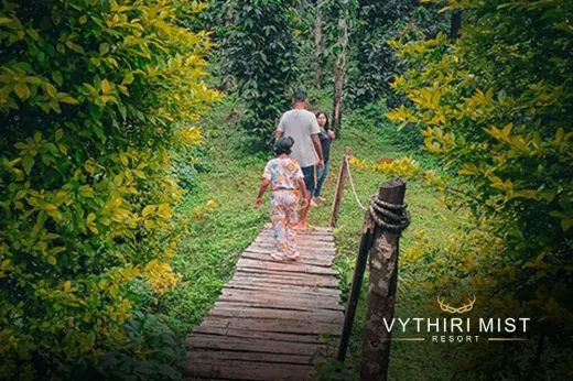 Vythiri Mist Resort India
