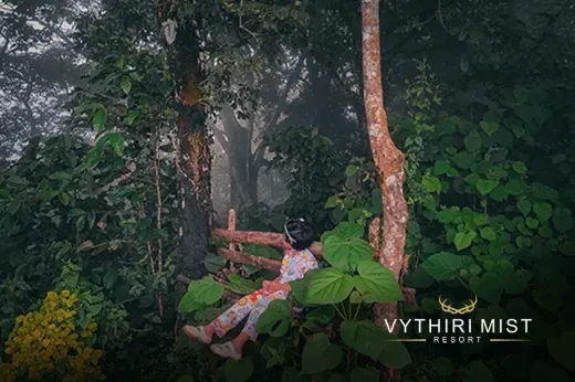  Wayanad