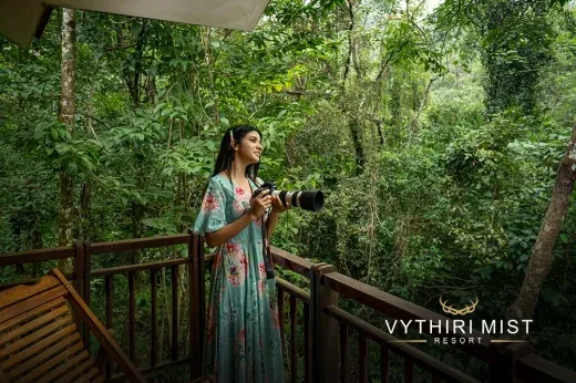 Vythiri Mist Resort 