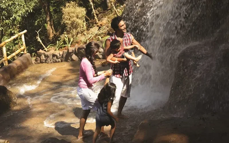 Vythiri Village Resort 