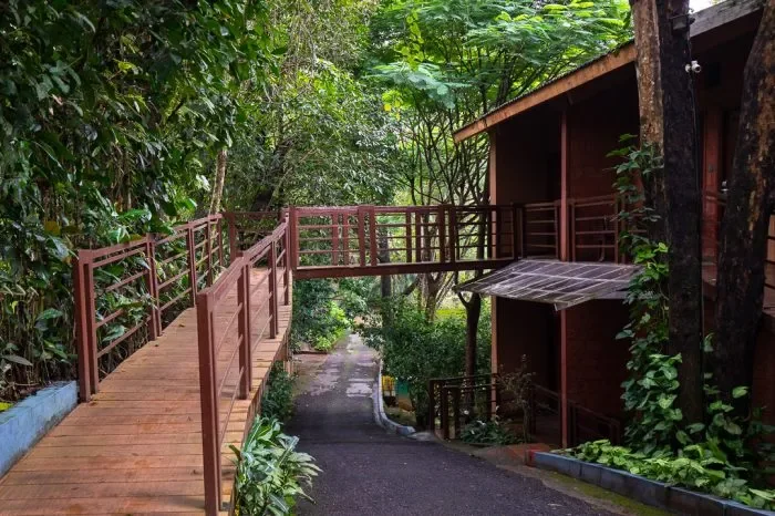  Wayanad