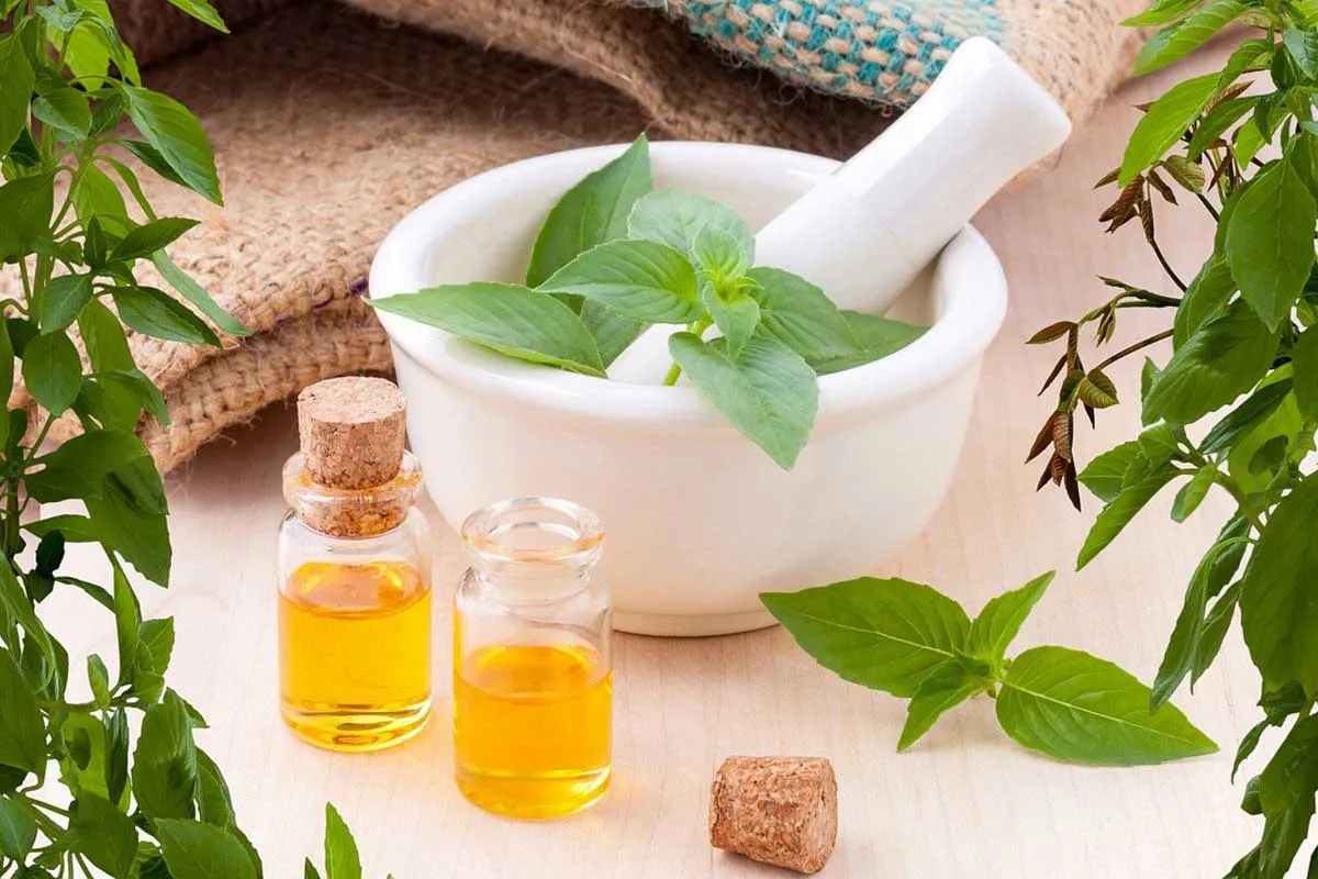 Dreams World Spa Puducherry