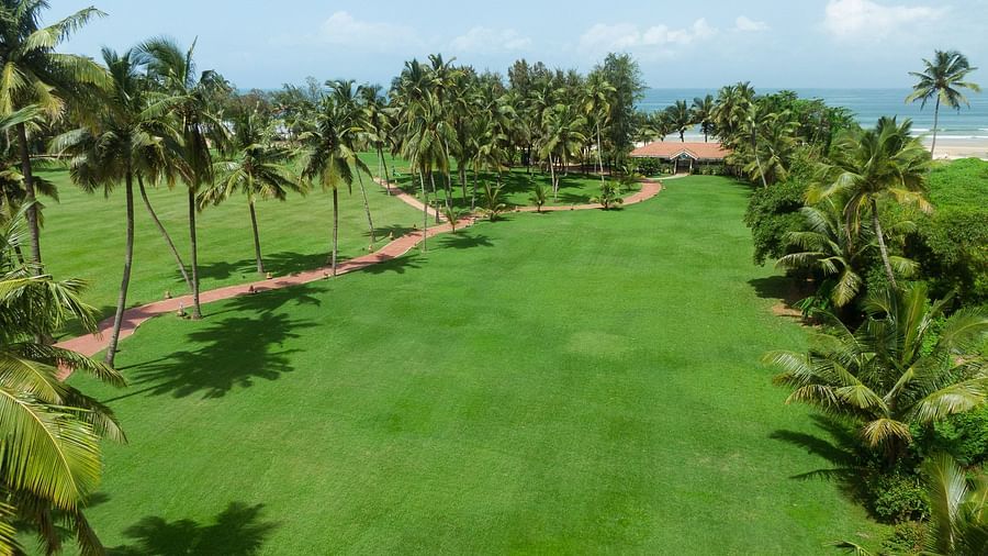  Goa