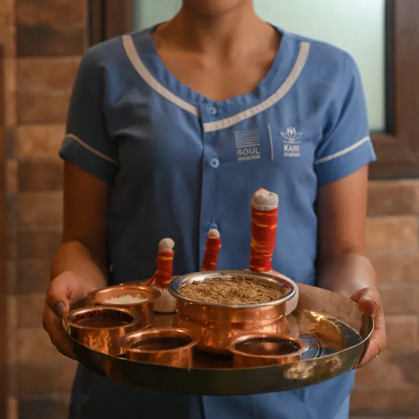 KARE Ayurveda Wellness Retreat Goa 