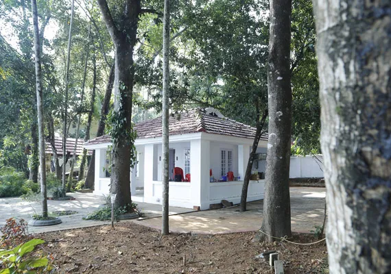 Ayur Village Retreat Resort Kochi