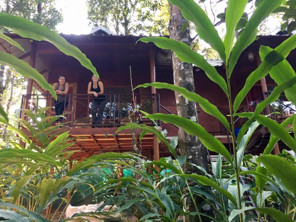 Experience Ayurveda Kochi 