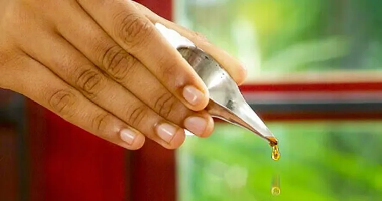 Experience Ayurveda Kochi 