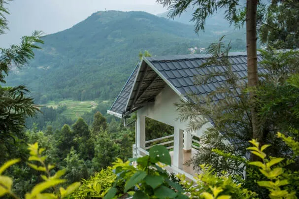 Experience Ayurveda Kochi 