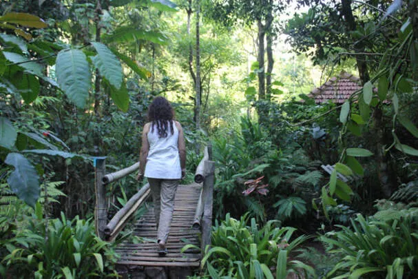 Experience Ayurveda Kochi
