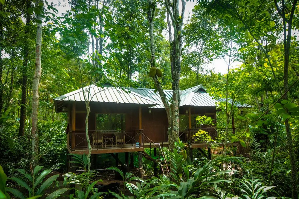 Experience Ayurveda Kochi