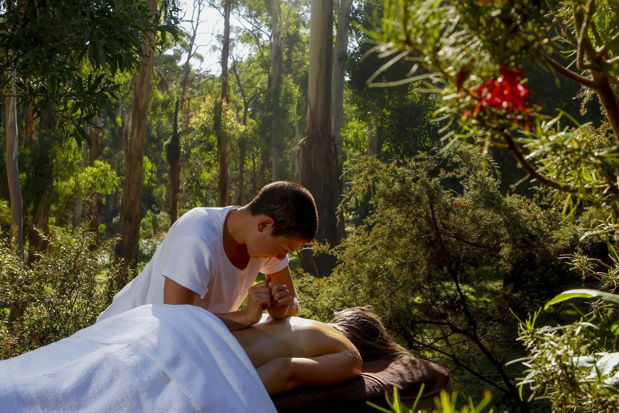 Experience Ayurveda Kochi