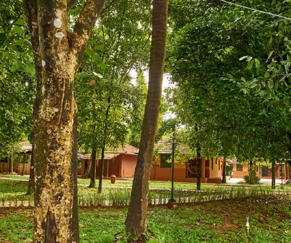 Namami Health Retreat & A Wellness Sanctuary Kochi 