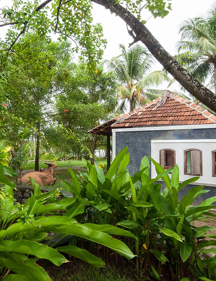  Kochi