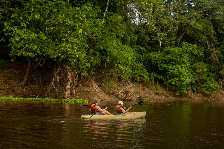 Jungle Experiences Image