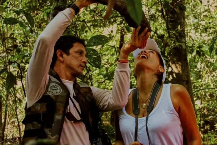 Jungle Experiences