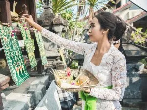 Balitrees Bali 