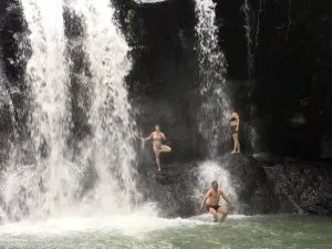 Balitrees Bali Indonesia