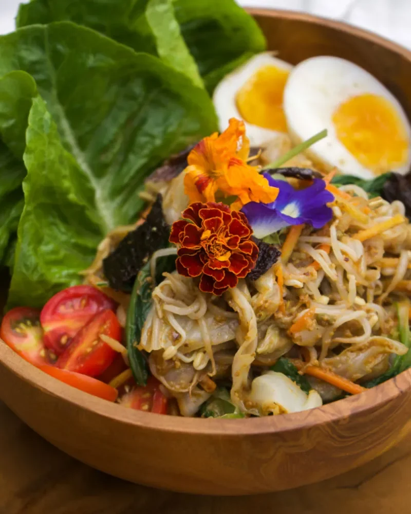 Solana Luxury Wellness Retreat 