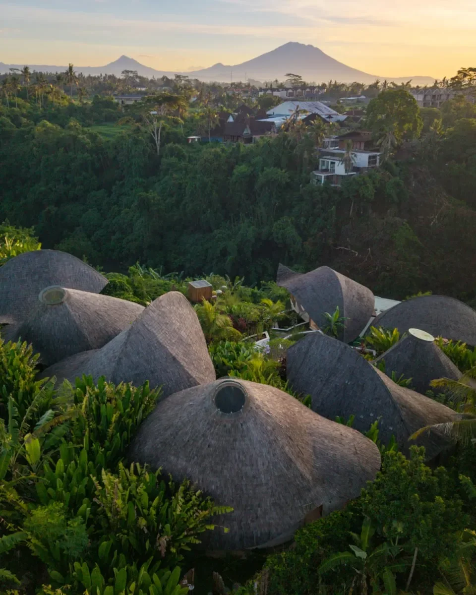Solana Luxury Wellness Retreat 