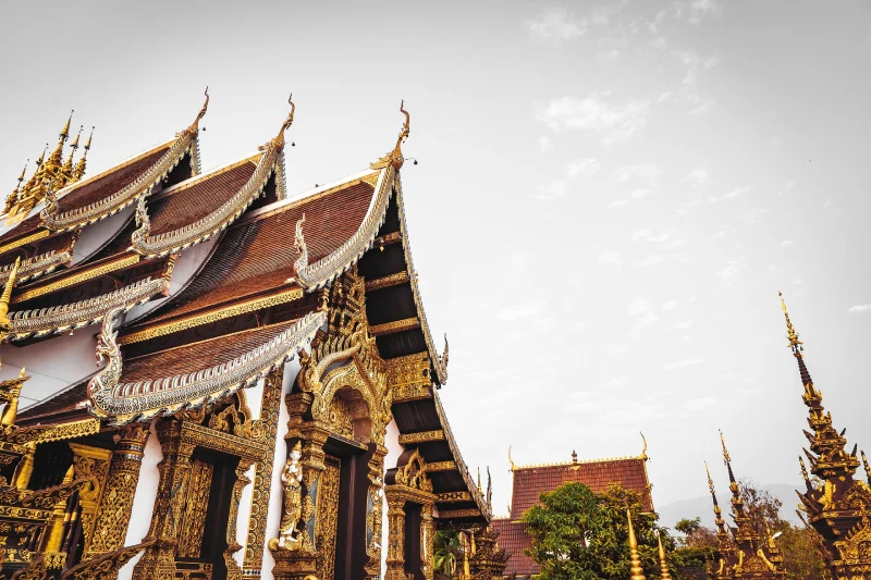 World Peace Yoga School, Thailand Surat Thani