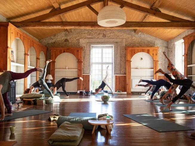 Sri Krishna Yoga Foundation 