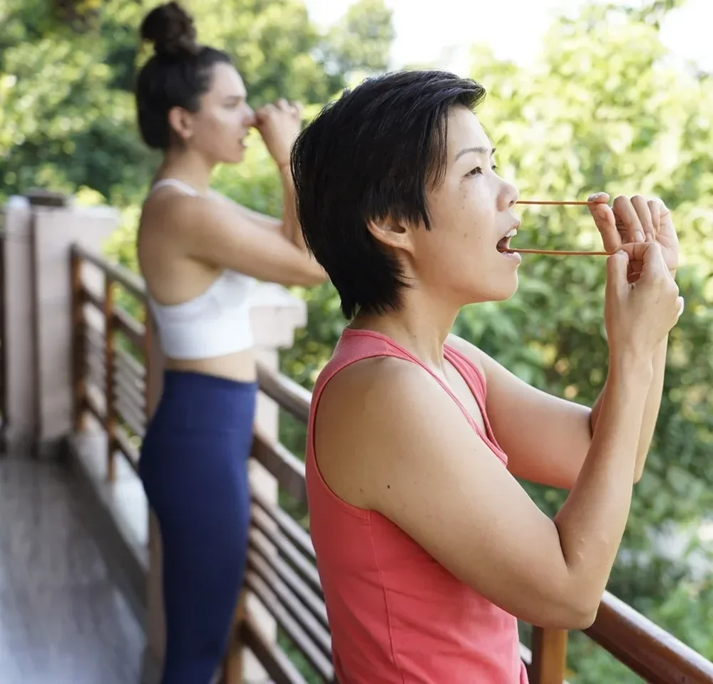 Rishikesh Vinyasa Yogashram Rishikesh